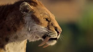 Nonton Film Life on Our Planet Season 1 Episode 7 Terbaru Nonton Film Life on Our Planet Season 1 Episode 7 Terbaru