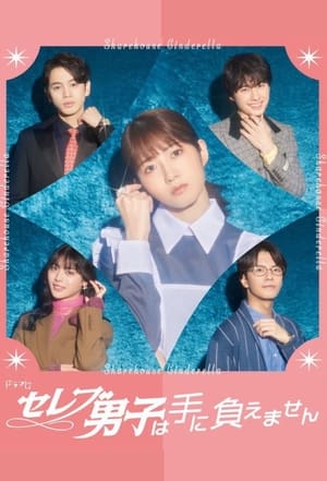 Nonton Film Sharehouse Cinderella (2024) Terbaru