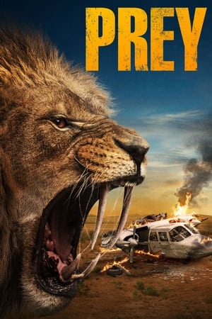 Nonton Film Prey (2024) Terbaru Nonton Film Prey (2024) Terbaru