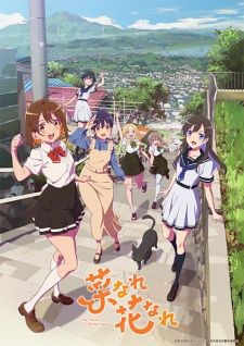 Nonton Film Na Nare Hana Nare – Episode 8 Terbaru