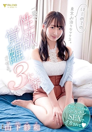 Nonton Film FSDSS-853 Pertama Kali Menginap di Hotel Tokyo – Yamashita Sawa Terbaru