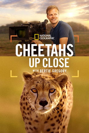 Nonton Film Cheetahs Up Close with Bertie Gregory (2026) Terbaru